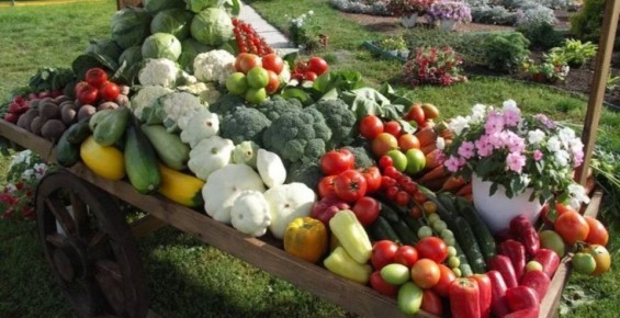 ��� ����������� ����� � ���� � ���������� ������� ������ ������