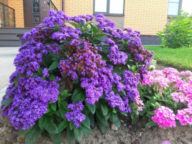 ���������: ��������� �������� ������