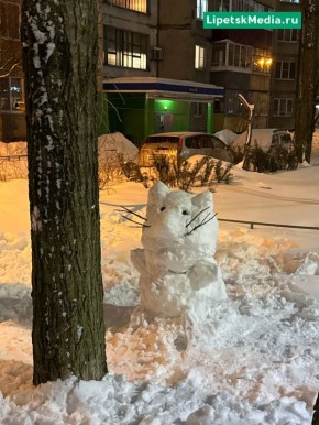 Кошечкой из снега провожают зиму липчане
