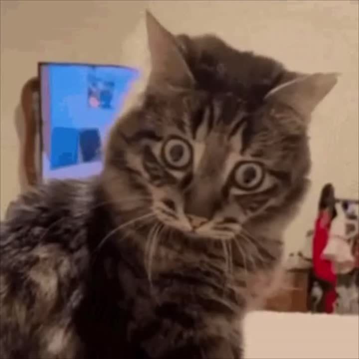 ������������ �������� ����� ����� �������� ��� � ������ ������