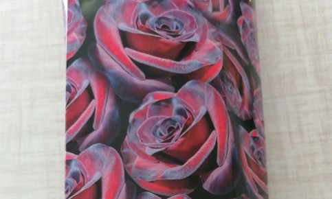 Как правильно выбирать саженцы роз: советы для успешного старта весны