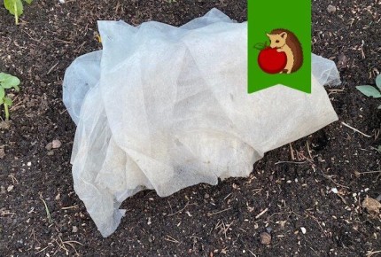 Как правильно подготовить укрывной материал к следующему сезону