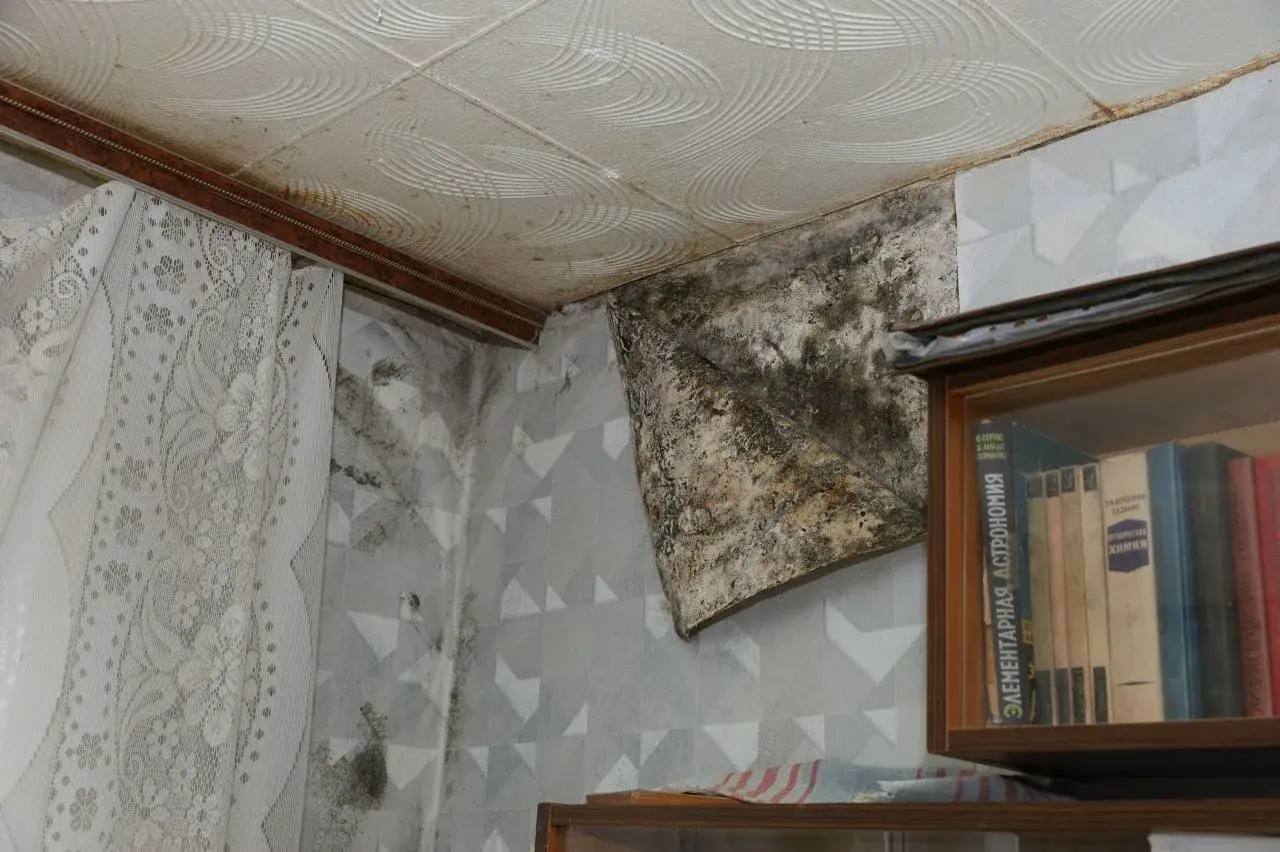 Руководитель регионального управления СК России взял под контроль восстановление жилищных прав липчан и инициировал уголовное дело Руководитель регионального управления СК России взял под контроль восстановление жилищных прав липчан и инициировал уголовное дело