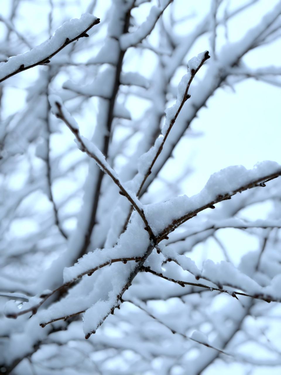 Доброе утро!. Пятница – наконец-то! Можно уже улыбаться шире Днём от 0 до –4