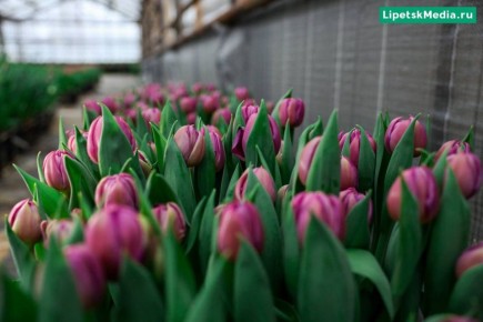 �� ���������!. ��� ������ ����� �������� � ���� �����, �� ���� ������ �����������