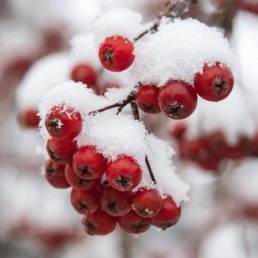 ��� � �������� ��������� ������ ����