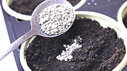 ��� ���� �������� ����� ��������� ����� ����� ������� ���� �������