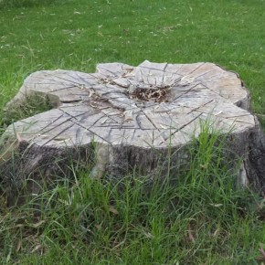 ������� ������ ������ ��� �� ���� ��� ������ ������