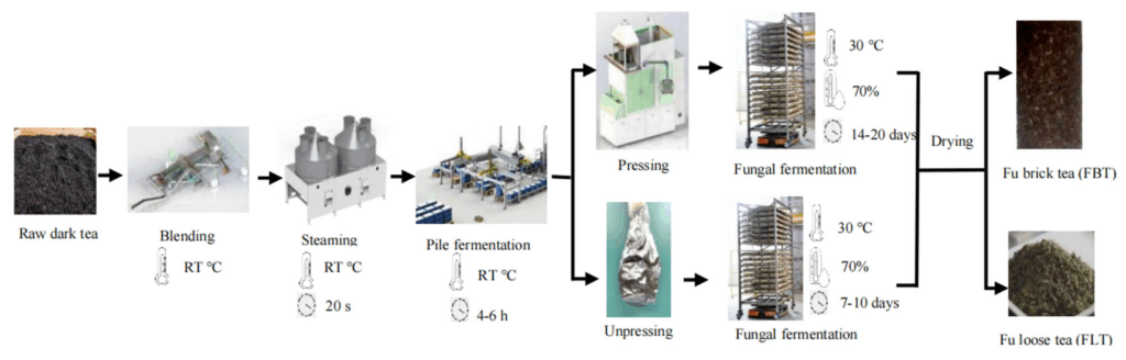 Сравнение прессованного и рассыпного Фу Чжуаня