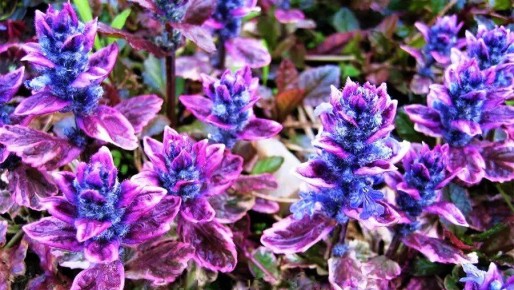 ������������� ����� ��� ������ ����: ������� ��������� �� ����� ���������