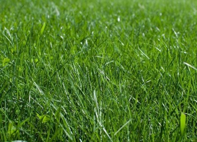 �������������� ��������, ������� ��������� ��� �� ����� � ������