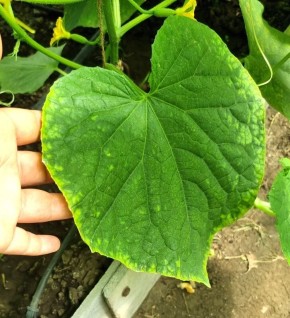 ��� ��������� ������������� ������ ��� ��������� ������