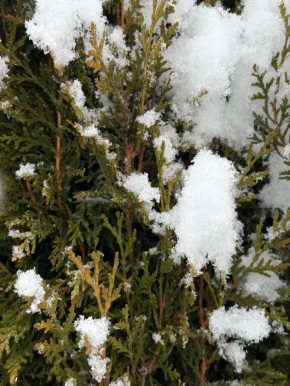 ������ ����!. �����������, 2 ����� � ������ ���� �����, � ���� �� ��� �� ������ ���� �� �2 �� +3