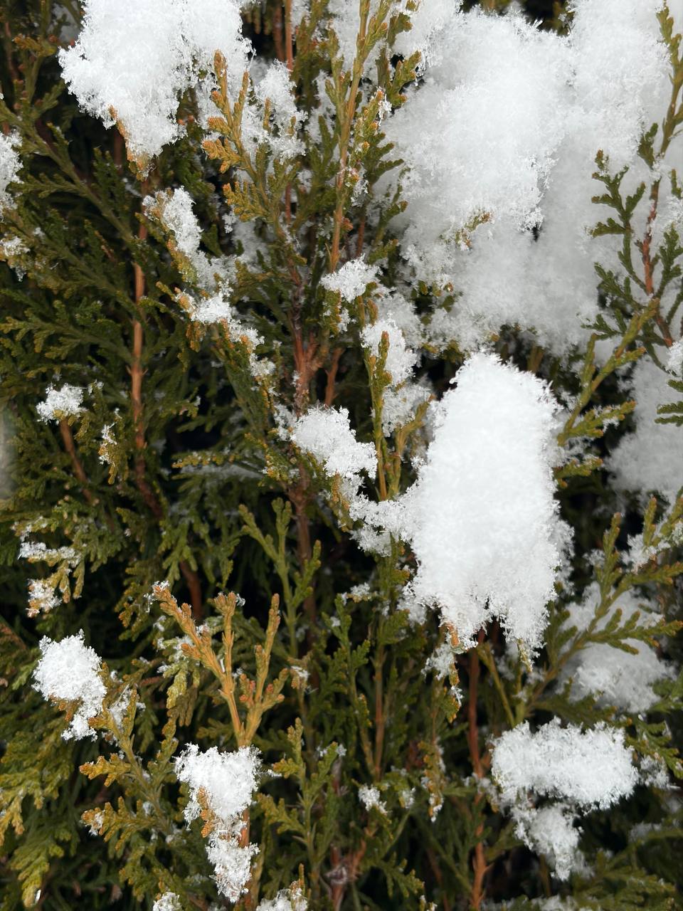 Доброе утро!. Понедельник, 2 марта – второй день весны, а зима всё ещё не сдаётся Днём от –2 до +3
