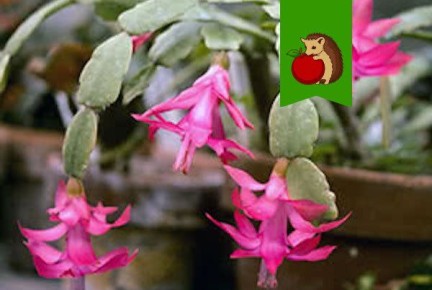 ��� ��������� �� ����������� ����� ��������, ����� �� ����� ������