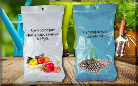 Суперфосфат: что нужно знать дачнику о фосфорных удобрениях
