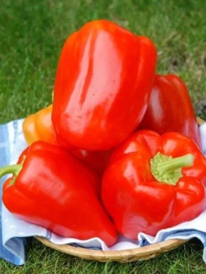 ������������� ����� ������: ��� ��������� ��������� ������