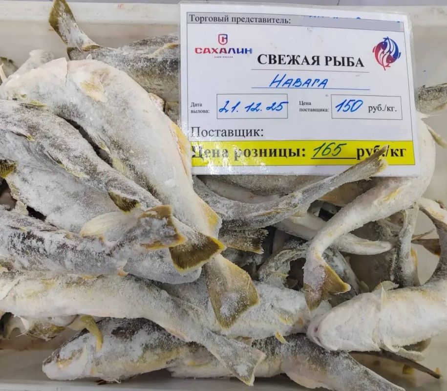 ������ �����������: ������ �� ��������������� ����