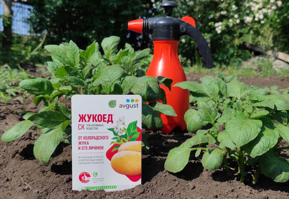 ��� �������� ��������� �� ������������ ���� � ������� ��������