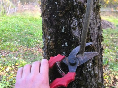 ����� ��������� �������� ������ ������: �������� ������ ��� ���������