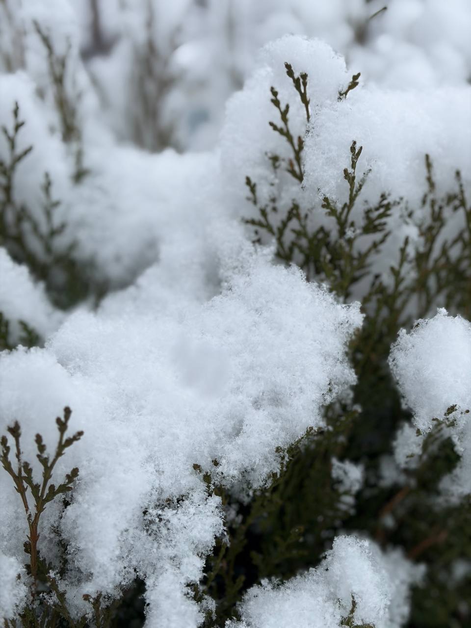 Доброе утро!. Среда – идём к середине недели, хоть погода и с переменчивым настроением