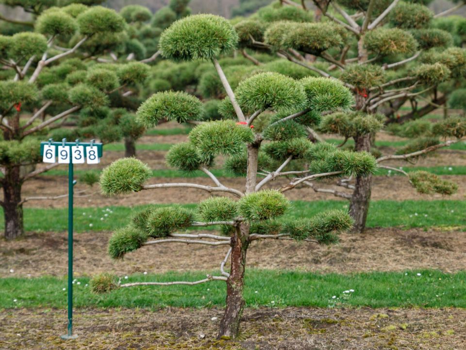 ��������� ������: ��� ��������� ��������� ������ �� ����������� ������