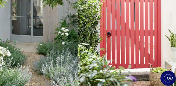 ������ �������: ������� �������� ������������ ����