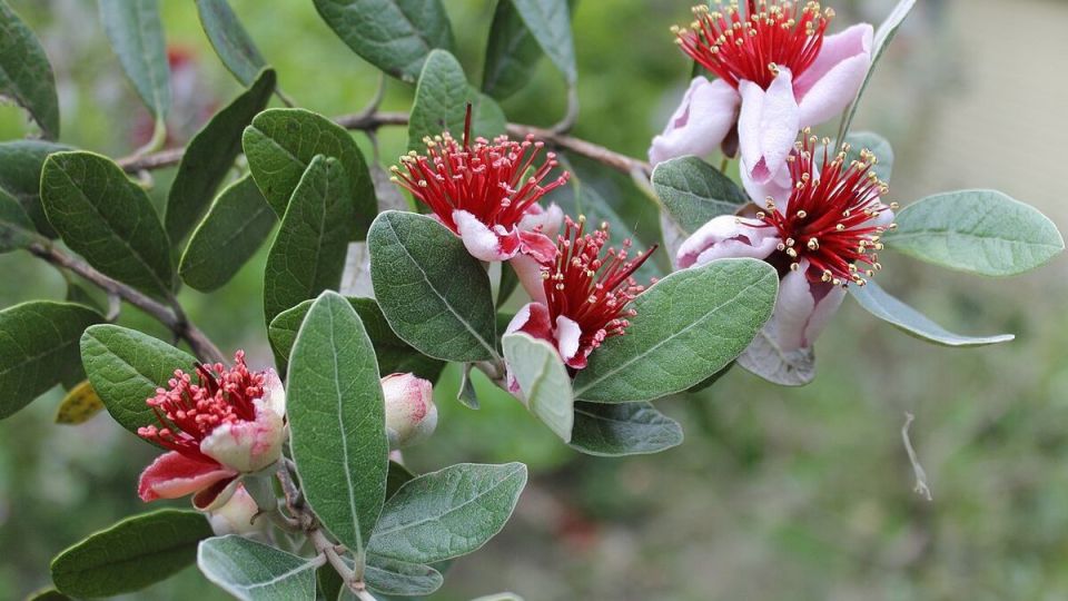 ������ �� �����������: ��� ��������� ������������ ����� ����