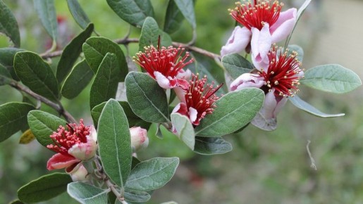 ������ �� �����������: ��� ��������� ������������ ����� ����