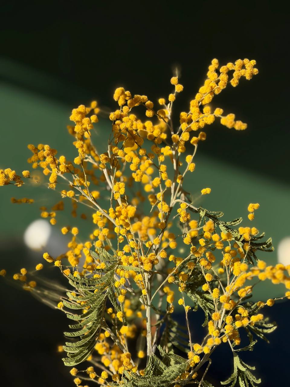 Отбой красного уровня «Угроза атаки БПЛА»