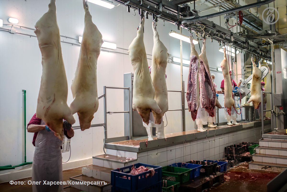 Прибыль липецкого свиноводческого предприятия «Черкизово» выросла на 19% за год