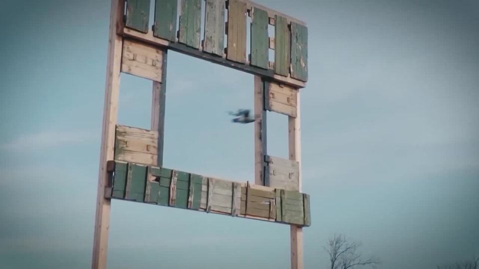 ����� ����������. � ���� ������������ � ���� ������ ��������� ����