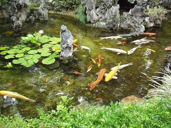 ��� ������������ ��������� ������� ����� � ������ �� ����� �������