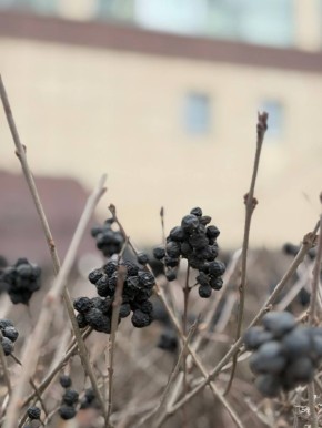 ������ ����!. �� ������� ����� ������ ��������� � ���� �����