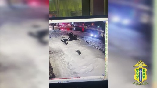 � ����� ���� ��������� ����������� �� ������ �� ��������