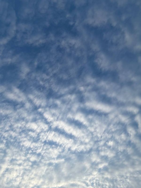 ������ ����!. �������! ��� ����� ���������� ������� ����� �� �������� ���� �� 0 �� +4