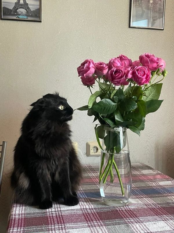 ����� ������ ����� ����� ����������� ������� ��� ����� �����