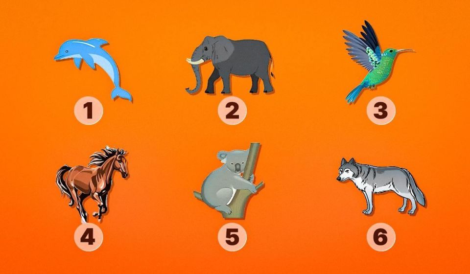 ����� �������� �������� �������� ���? ������� � ������� �������������� �����