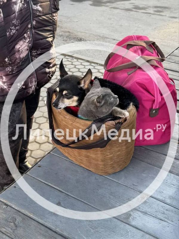 ��� � �� ������������ � �������� �� ����������