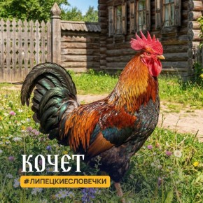 ���������� ���������� � ����������� +4��+7�� ������� � �������� ������� � ����������� ���������