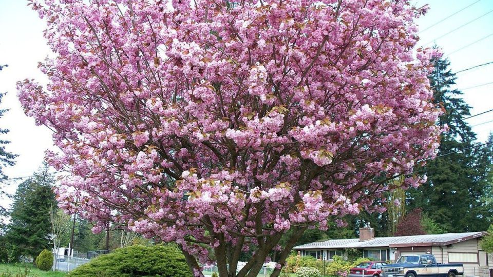 ��� ��������� ������ �� ����� �������: ������ ��������� �����������