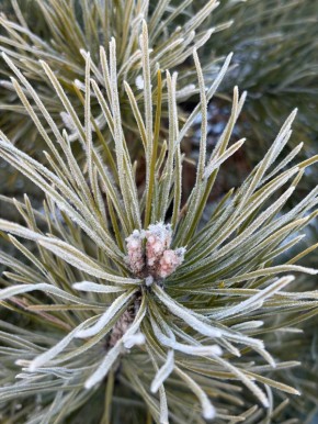 ������ ����!. ������� � ����, ����� ��� ��������� � ������, �� �� ������� �� ��� �����-���� ������ ���� �� +5 �� +8