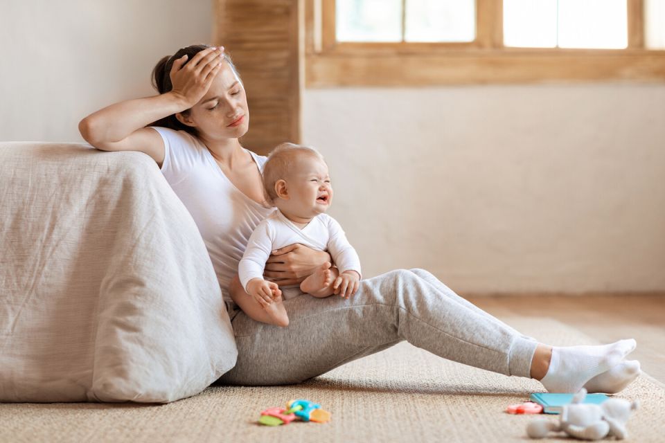 ������ � �����: � ������� ���������� �������� ������������ ����������