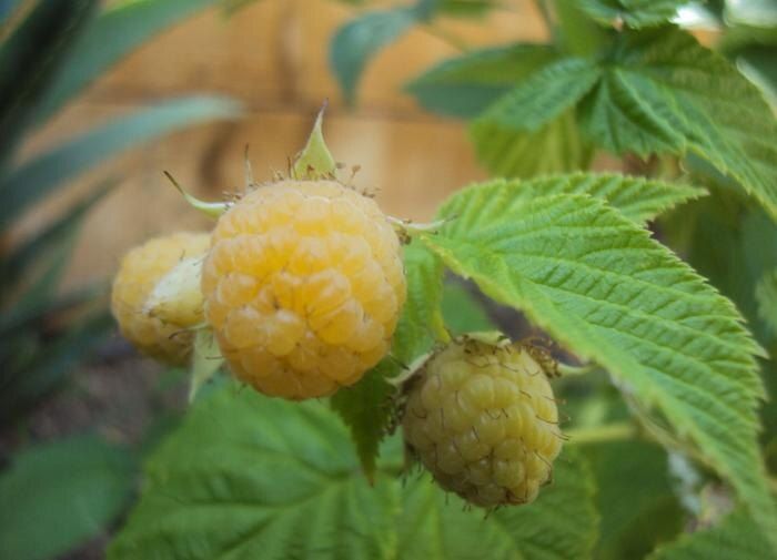 ������� �������� ��������� ��������� ��� ��������� ������