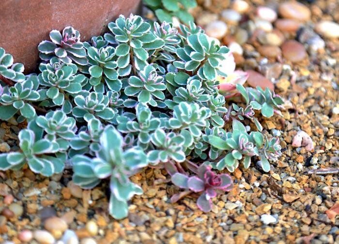 ������� ������� �������� �����������: 8 ������� �������