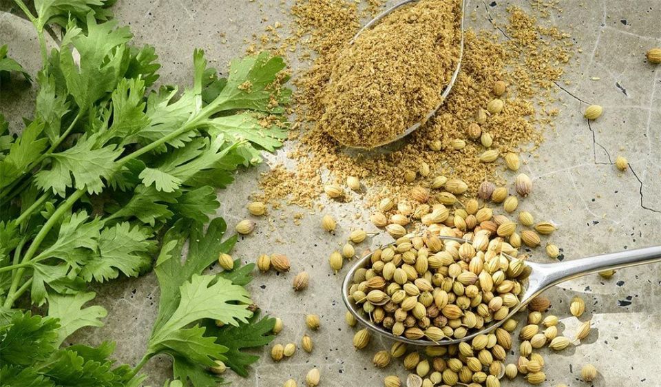 ��������: ������� ������ � ������������� ����������