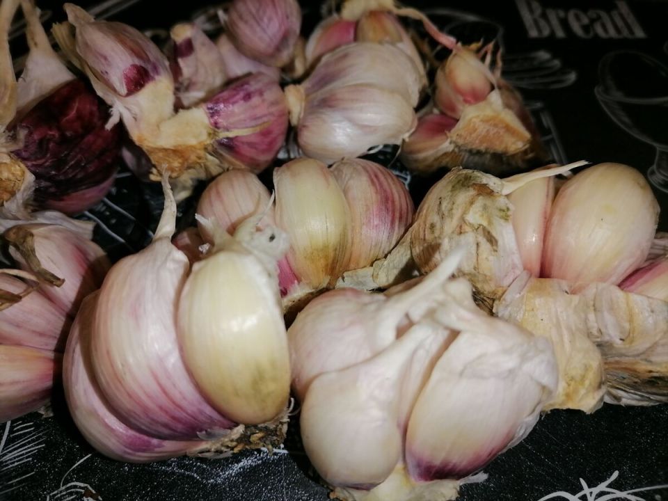 ��� ������� ������ �� �����: ���������� �����, ����������� ������