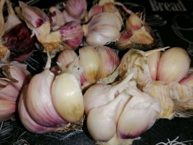 ��� ������� ������ �� �����: ���������� �����, ����������� ������