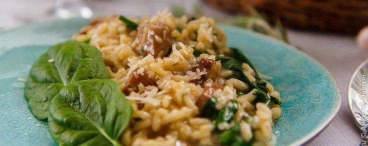 ����������� ������� � �������� � �������: ����� ��������� ��������