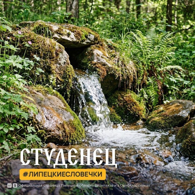 �� +12�� ���������� ������ ������� � �������� �������